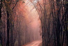 意甲球队备战欧冠赛场，期待出色表现