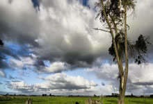 德国队迈向欧洲杯，心态调整关键之际