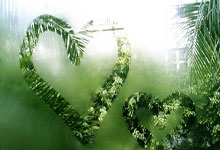 巴黎圣日耳曼取得胜利领先积分榜