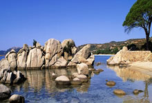 巴黎圣日耳曼取得胜利领先积分榜